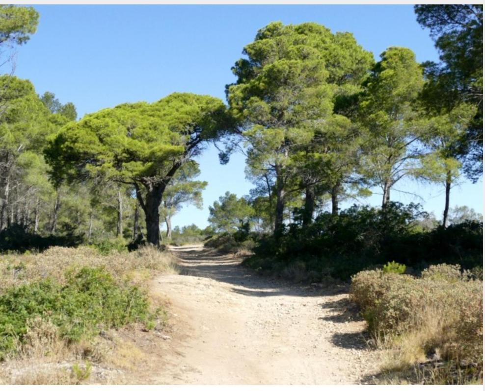 Antiqua Roma Spqr Domus Villa Port-la-Nouvelle Exterior foto